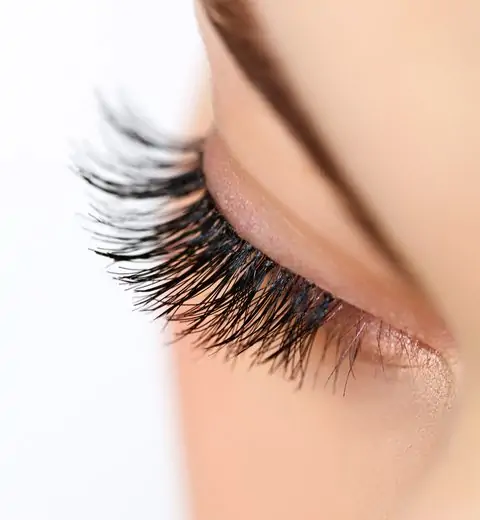 Woman,Eye,With,Long,Eyelashes.,Eyelash,Extension